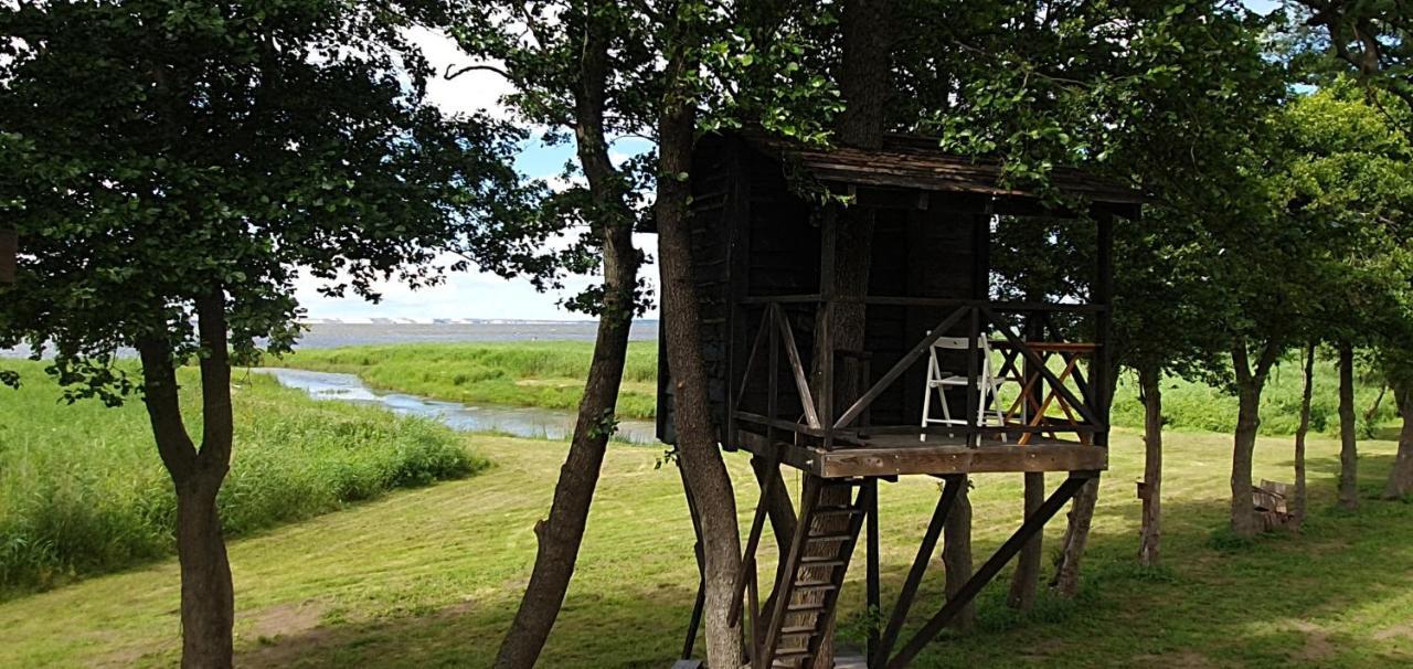 Kaimo Turizmo Sodyba Satavi Kinty Exterior foto